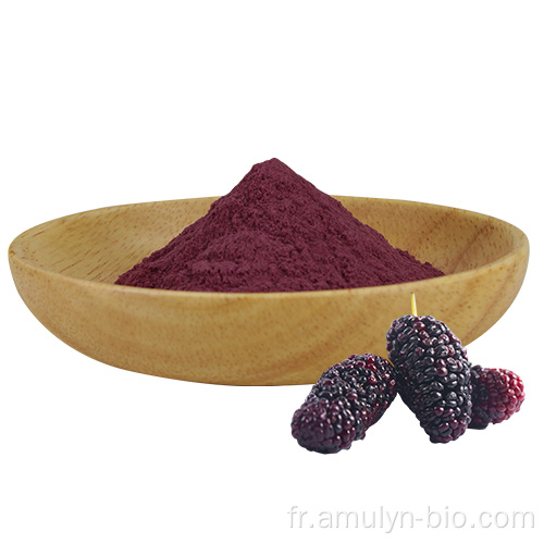 Extrait de fruit lyophilisé poudre de mûre violette